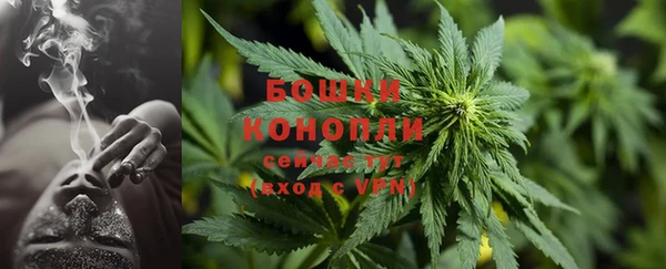 стаф Белокуриха