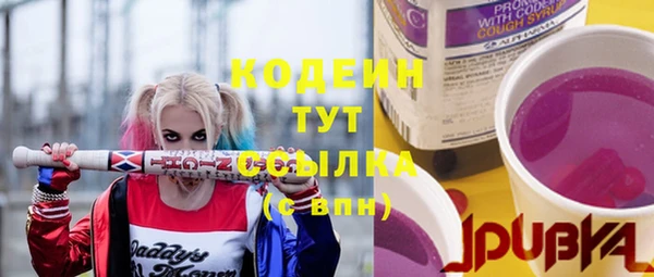 дмт Богородицк