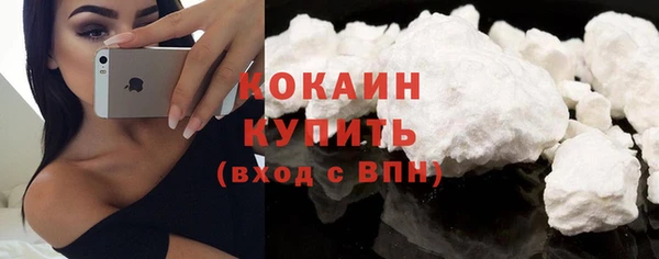 стаф Белокуриха
