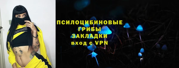 дмт Богородицк