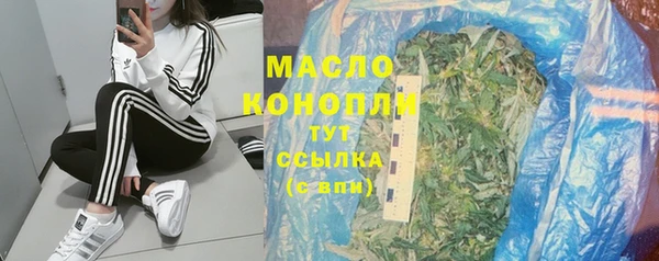 дмт Богородицк