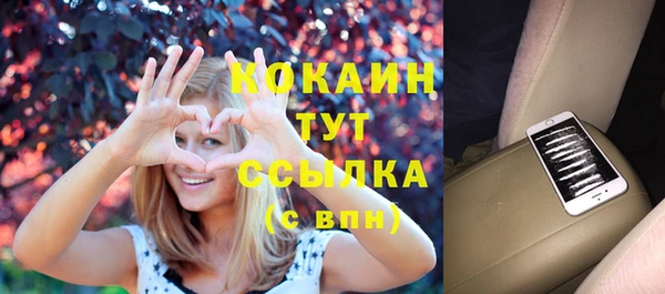 мет Богданович